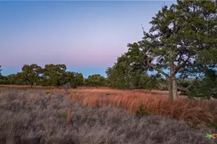5999 Ranch Road 165, Blanco, TX 78606 - Photo 45
