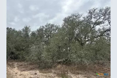 2 Dentler Tract 2 Road, Meyersville, TX 77974 - Photo 5