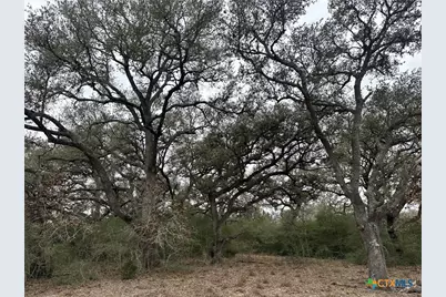 2 Dentler Tract 2 Road, Meyersville, TX 77974 - Photo 3