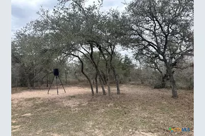 2 Dentler Tract 2 Road, Meyersville, TX 77974 - Photo 1