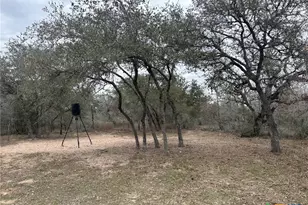 2 Dentler Tract 2 Rd, Meyersville, TX 77974 - Photo 1