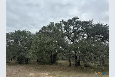 6 Dentler Tract 6 Road, Victoria, TX 77974 - Photo 5