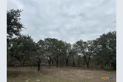 6 Dentler Tract 6 Road, Victoria, TX 77974 - Photo 3