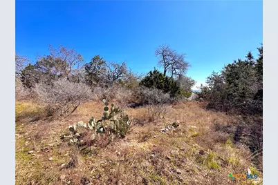 172 Rayner Court, Spring Branch, TX 78070 - Photo 11