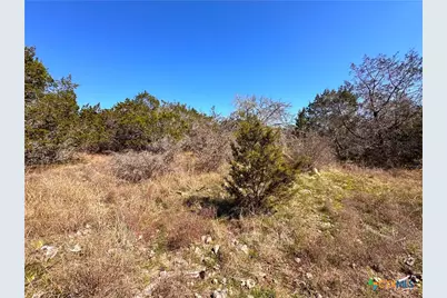 172 Rayner Court, Spring Branch, TX 78070 - Photo 3