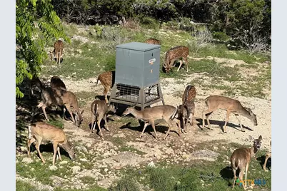 1802 Cattail, Canyon Lake, TX 78133 - Photo 39