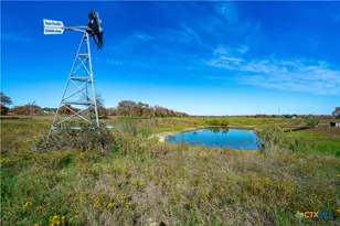 Tbd Tx-123, Seguin, TX 78155 - Photo 45