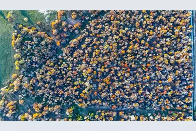 Tbd Tx-123, Seguin, TX 78155 - Photo 33