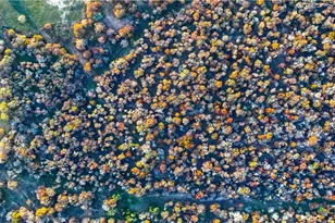 Tbd Tx-123, Seguin, TX 78155 - Photo 33