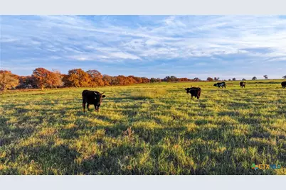 Tbd Tx-123, Seguin, TX 78155 - Photo 31
