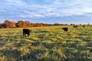 Tbd Tx-123, Seguin, TX 78155 - Photo 31