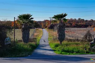 Tbd Tx-123, Seguin, TX 78155 - Photo 5