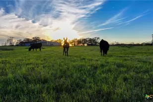 Tbd Tx-123, Seguin, TX 78155 - Photo 29