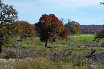 Tbd Tx-123, Seguin, TX 78155 - Photo 9