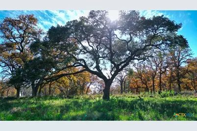 Tbd Tx-123, Seguin, TX 78155 - Photo 3