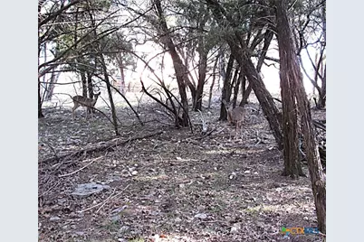 10784 Highview Drive, Belton, TX 76513 - Photo 9