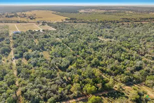 262 Gander Slough Rd, Kingsbury, TX 78638 - Photo 31