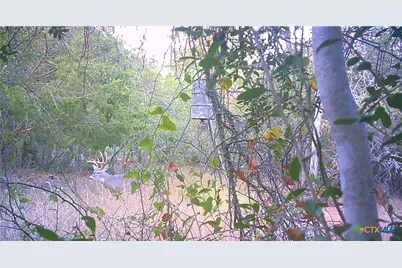 262 Gander Slough Road, Kingsbury, TX 78638 - Photo 33