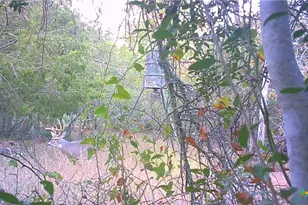 262 Gander Slough Rd, Kingsbury, TX 78638 - Photo 33