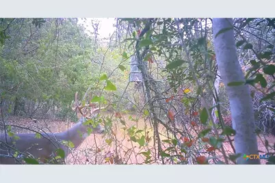 262 Gander Slough Road, Kingsbury, TX 78638 - Photo 35