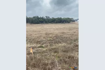 785 Ansley Home, Bulverde, TX 78163 - Photo 9