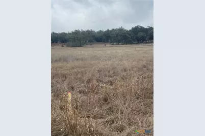 785 Ansley Home, Bulverde, TX 78163 - Photo 3