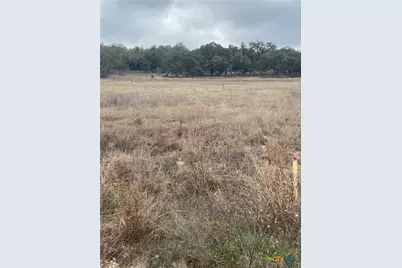 785 Ansley Home, Bulverde, TX 78163 - Photo 7