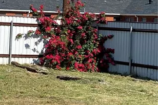 303 N 7th St, Copperas Cove, TX 76522 - Photo 21