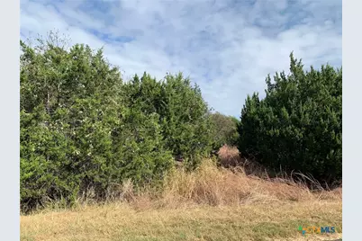 Tbd (Id 319591) Cheyenne Pass, Salado, TX 76571 - Photo 11