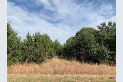 Tbd (Id 319591) Cheyenne Pass, Salado, TX 76571 - Photo 13