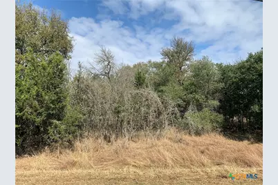 Tbd (Id 319591) Cheyenne Pass, Salado, TX 76571 - Photo 19