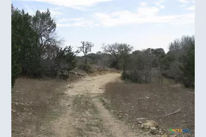 125 Acres Harmon Road, Copperas Cove, TX 76522 - Photo 15