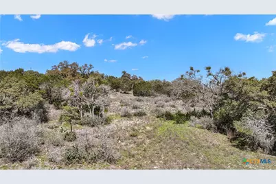 198 Lily Street, Spring Branch, TX 78070 - Photo 21