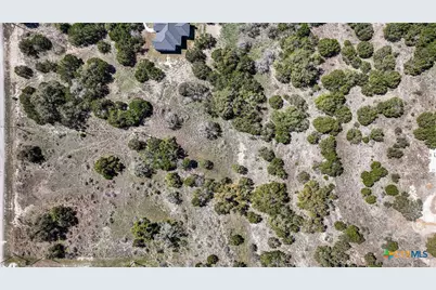 198 Lily Street, Spring Branch, TX 78070 - Photo 9