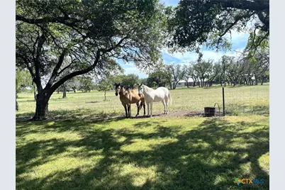 996 County Road 421, Evant, TX 76525 - Photo 47