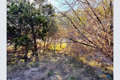 1100 Diamondhead Drive, Canyon Lake, TX 78133 - Photo 9