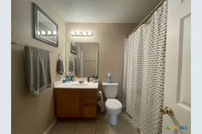 238 Alves Lane, New Braunfels, TX 78130 - Photo 29