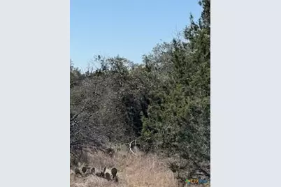 1050 Happy Hollow Drive, New Braunfels, TX 78132 - Photo 3