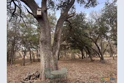 13203 Private Rd 3642 Road, Lampasas, TX 76550 - Photo 7
