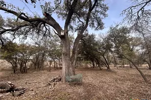 13203 Private Rd 3642 Rd, Lampasas, TX 76550 - Photo 9