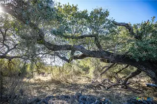 6498 Hwy 35 N, Rockport, TX 78382 - Photo 35