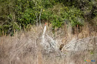 6498 Hwy 35 N, Rockport, TX 78382 - Photo 17