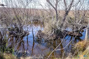 6498 Hwy 35 N, Rockport, TX 78382 - Photo 19