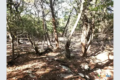 16353 Charlya Drive, Temple, TX 76502 - Photo 17