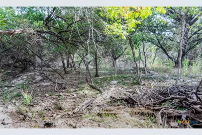 16353 Charlya Drive, Temple, TX 76502 - Photo 3