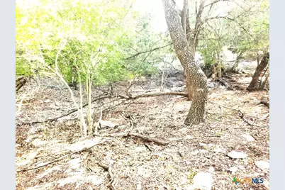 16353 Charlya Drive, Temple, TX 76502 - Photo 19