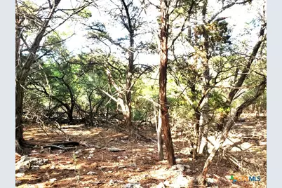 16353 Charlya Drive, Temple, TX 76502 - Photo 15