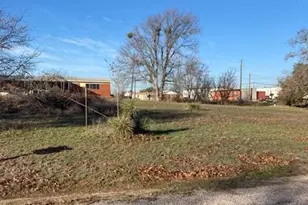 215 Louise Ave, Kingsland, TX 78639 - Photo 21