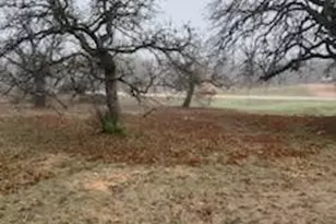 215 Louise Ave, Kingsland, TX 78639 - Photo 19