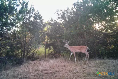 2998 Straws Mill Road, Gatesville, TX 76528 - Photo 41